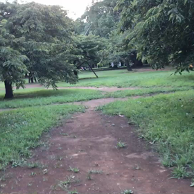 ♪お散歩動画♪代々木公園♪の画像