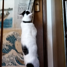 ヘアゴムでの画像