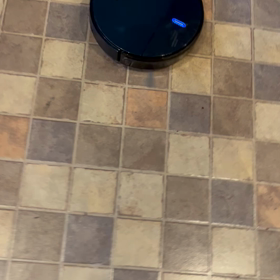 愛着って何でもありですねの巻の画像