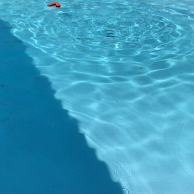 ムービーの画像