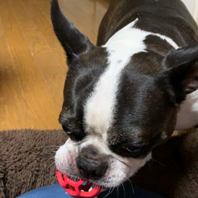 人生色々の画像