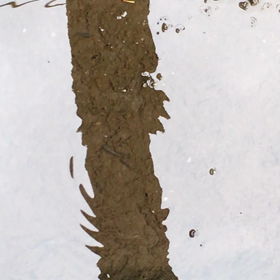 小魚さんの画像