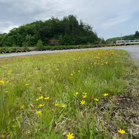 2022年5月12日（木）のおわらサーキットの画像