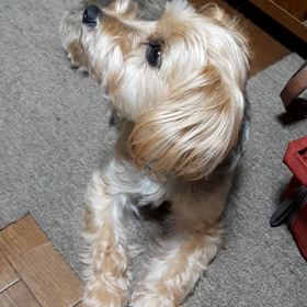 お薬出ました。の画像