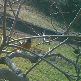 すぎぴたんの事件簿　シーズン２　１０９話の画像