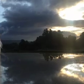 さあ！遊びに行こう( ^ω^ )の画像