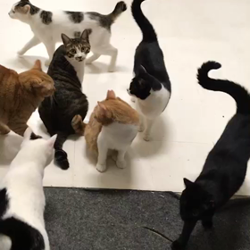 メリークリスマス♪の画像