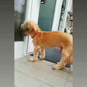 朝のひと遊び  TIMEの画像