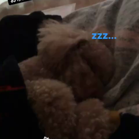 カネゴンまん。の画像