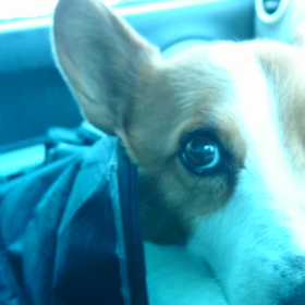 今日はお医者さ  んの日の画像