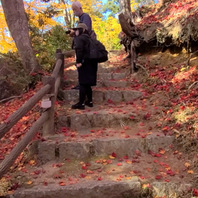 忘れ物無しにはならない？の画像