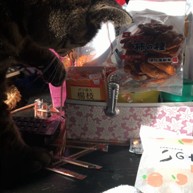 よし子は忙しい٩(°̀ᗝ°́)وの画像