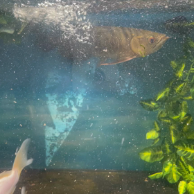 動画上げてみましたの画像