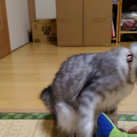 ぐるぐるの画像