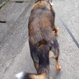 モンローウォーク？の画像