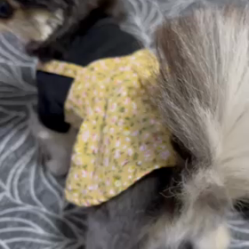 べるのプップの画像