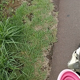 ラブ‼️GO‼️の画像