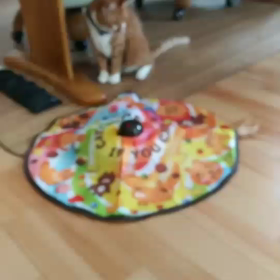 ダンの気持ち❤は？の画像