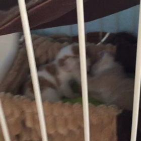 優くん陽ちゃんの画像