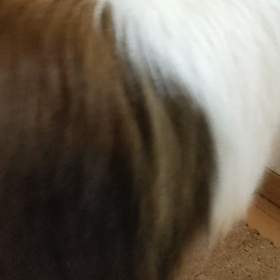 どうやって取れば、、？の画像