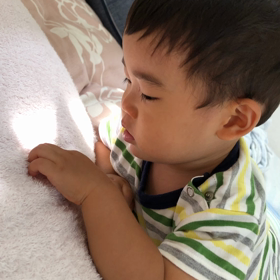 なんだこれ？？の画像