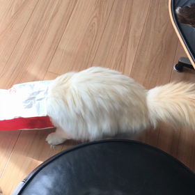 あんたはマルかと言ってやりたいの画像