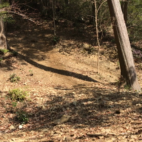 リアクションの画像