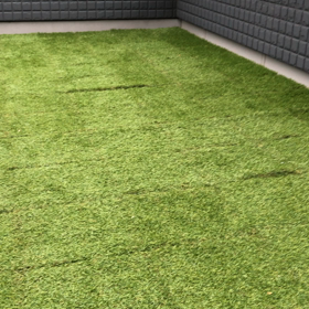 豆柴 くうのブログ  豆柴犬飼い始めました٩( 'ω' )و  遊びの画像