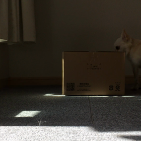 ぱりすのお買い物の画像