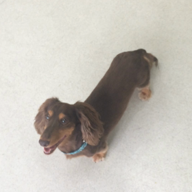 ♪プレイルーム動画♪の画像