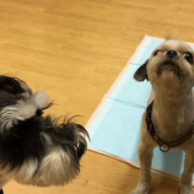 強くなったねぇ。の画像