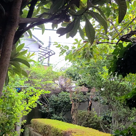 台風上陸‼️の画像