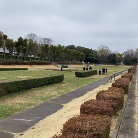 往復ダッシュ(Bグループ)⑦の画像