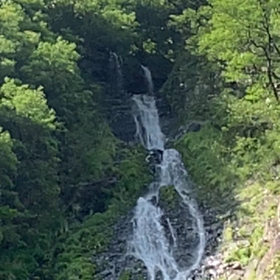 KIN116   黄色い戦士　赤い蛇　音12の画像