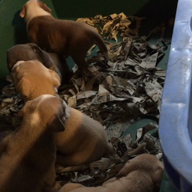 すくすくと育って♪の画像