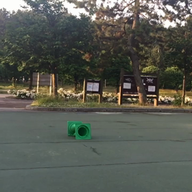 今朝のオーリーの画像