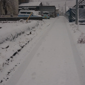 本日 臨時休業となります。の画像