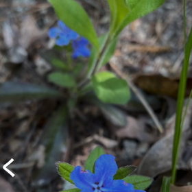 占いやセッションとかは、必要とし無くなった(*^^*)の画像