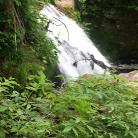 滝の水流の画像
