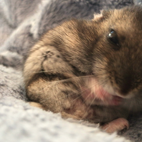 念入りな右半身のお手入れ。の画像