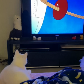 秋の夜長の画像