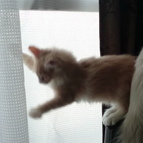 一瞬の出来事の画像