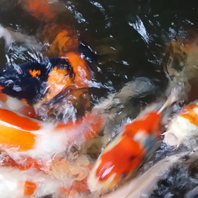 どろどろの画像