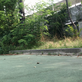 通勤途中のスケート   その2の画像