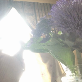 ひとりアンサンブル⁉️の画像