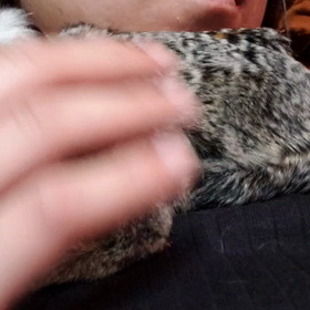 優雅な…？の画像