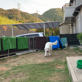 Rのクリッカートレーニングの画像