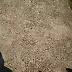 穏やかな日。の画像