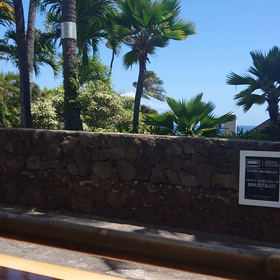 2019夏ハワイ⑨の画像