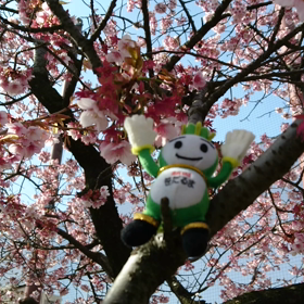 3/22の画像